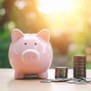 Preise sind fair kalkuliert – keine versteckten Kosten, keine komplizierten Pakete.